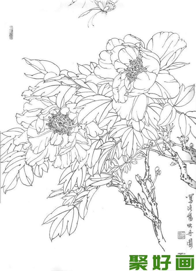 国画白描牡丹10副,王少卿白描牡丹花卉高清图片